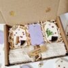 set-cadou-craciun-tablete-parfumate-ceara-soia
